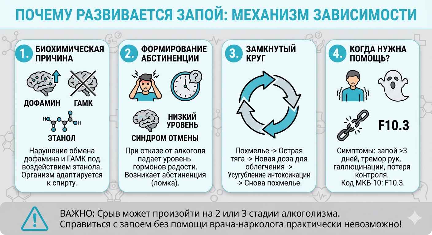 Инфографика о механизме развития запоя: биохимические причины, механизм замкнутого круга и признаки необходимости помощи